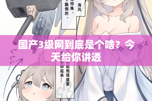 国产3级网到底是个啥？今天给你讲透