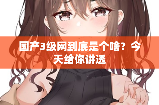 国产3级网到底是个啥？今天给你讲透