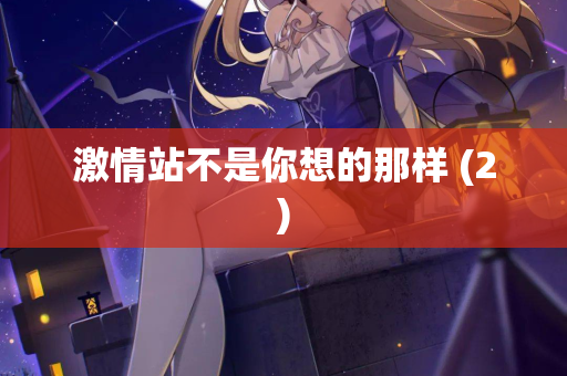 激情站不是你想的那样 (2)