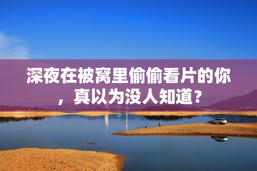 深夜在被窝里偷偷看片的你，真以为没人知道？