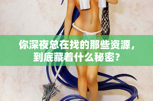 你深夜总在找的那些资源，到底藏着什么秘密？