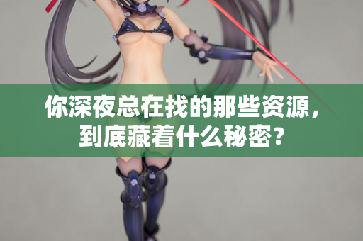 你深夜总在找的那些资源，到底藏着什么秘密？  第2张