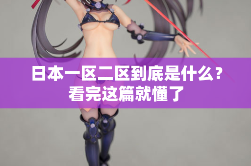 日本一区二区到底是什么？看完这篇就懂了  第2张