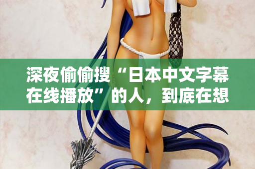 深夜偷偷搜“日本中文字幕在线播放”的人，到底在想什么