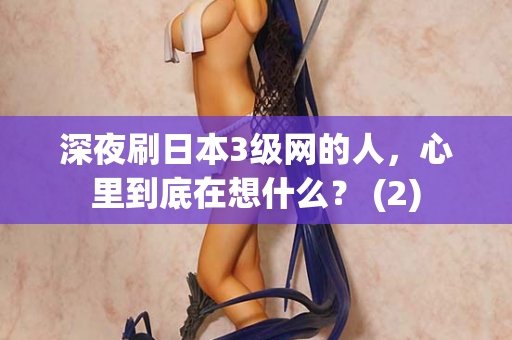 深夜刷日本3级网的人，心里到底在想什么？ (2)