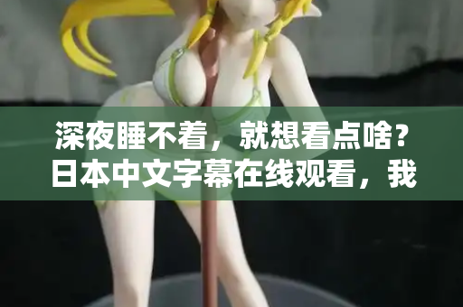 深夜睡不着，就想看点啥？日本中文字幕在线观看，我懂你