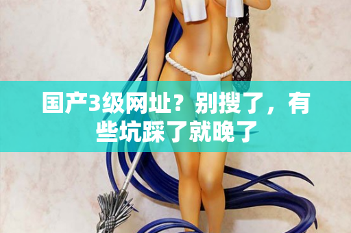 国产3级网址？别搜了，有些坑踩了就晚了