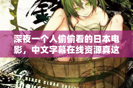 深夜一个人偷偷看的日本电影，中文字幕在线资源真这么难找？  第2张