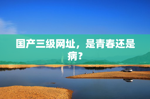 国产三级网址，是青春还是病？