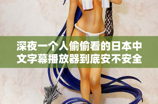 深夜一个人偷偷看的日本中文字幕播放器到底安不安全？  第2张