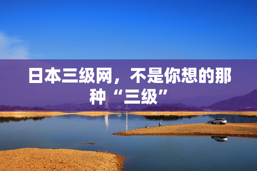 日本三级网，不是你想的那种“三级”  第2张