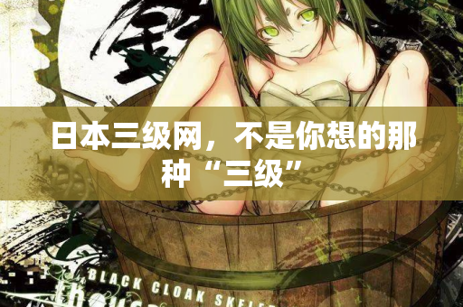 日本三级网，不是你想的那种“三级”