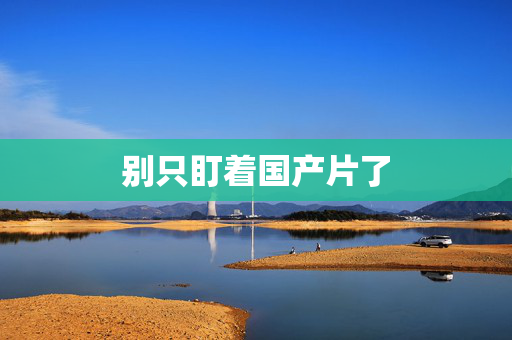 别只盯着国产片了  第2张