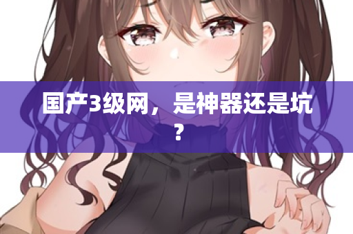 国产3级网，是神器还是坑？
