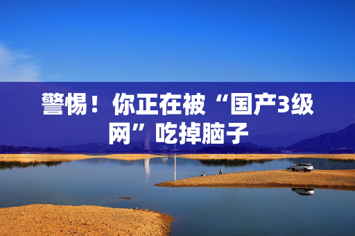 警惕!你正在被“国产3级网”吃掉脑子 第2张 警惕!你正在被“国产3级网”吃掉脑子 第2张