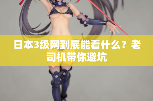 日本3级网到底能看什么？老司机带你避坑