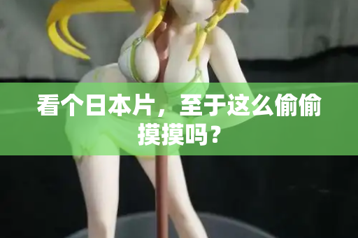 看个日本片，至于这么偷偷摸摸吗？  第2张
