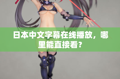 日本中文字幕在线播放，哪里能直接看？