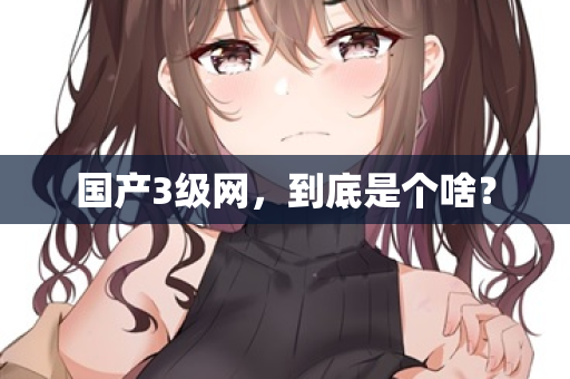 国产3级网，到底是个啥？  第1张