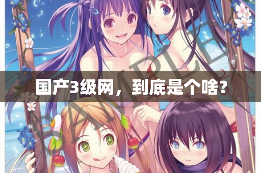 国产3级网，到底是个啥？  第3张