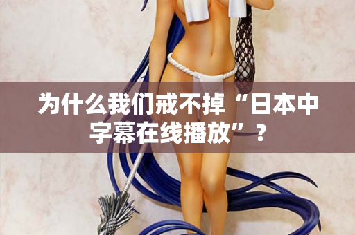 为什么我们戒不掉“日本中字幕在线播放”？  第1张
