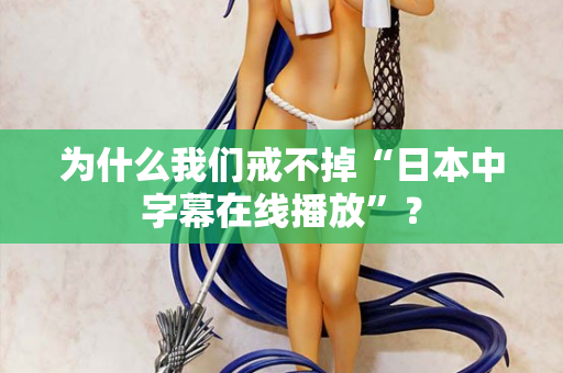 为什么我们戒不掉“日本中字幕在线播放”？  第3张