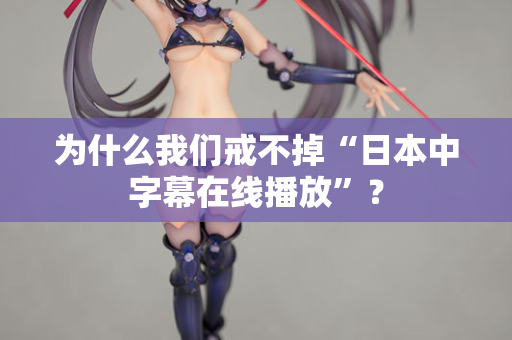 为什么我们戒不掉“日本中字幕在线播放”？  第2张