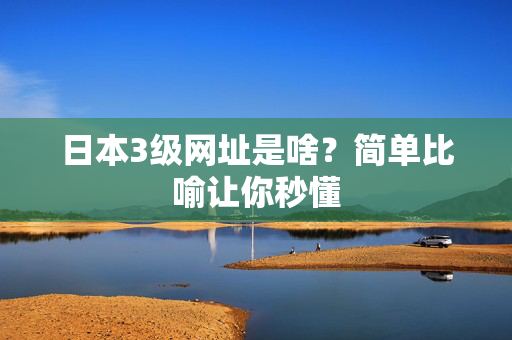 日本3级网址是啥？简单比喻让你秒懂