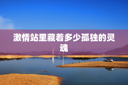 激情站里藏着多少孤独的灵魂  第2张