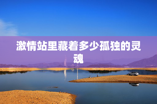 激情站里藏着多少孤独的灵魂  第1张