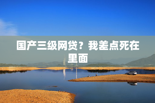 国产三级网贷？我差点死在里面
