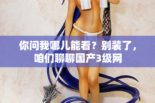 你问我哪儿能看？别装了，咱们聊聊国产3级网  第1张