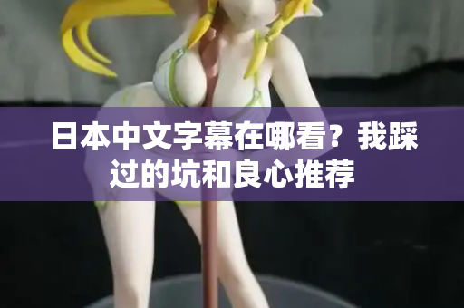 日本中文字幕在哪看？我踩过的坑和良心推荐