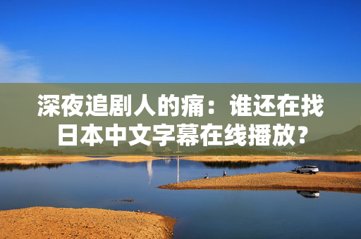 深夜追剧人的痛：谁还在找日本中文字幕在线播放？