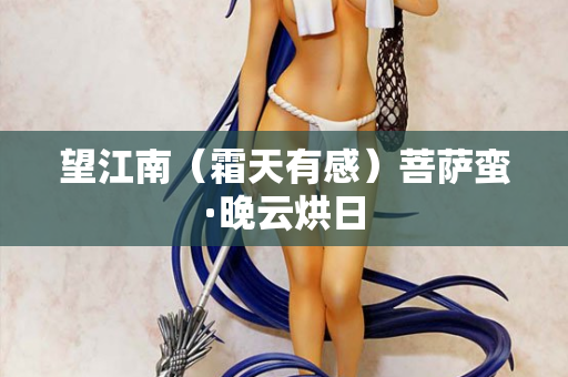 望江南（霜天有感）菩萨蛮·晚云烘日  第1张