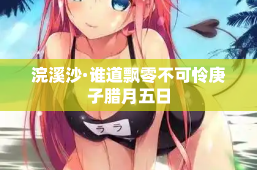 浣溪沙·谁道飘零不可怜庚子腊月五日  第3张