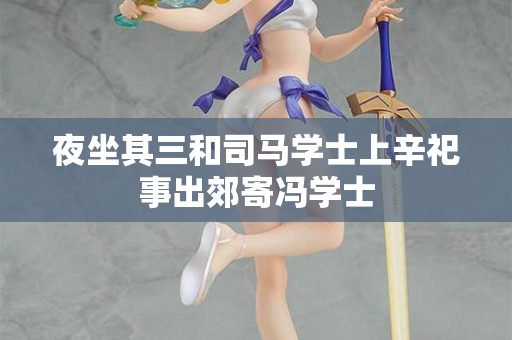 夜坐其三和司马学士上辛祀事出郊寄冯学士