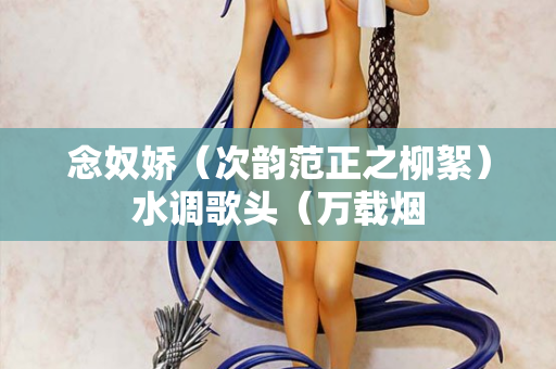 念奴娇（次韵范正之柳絮）水调歌头（万载烟  第2张