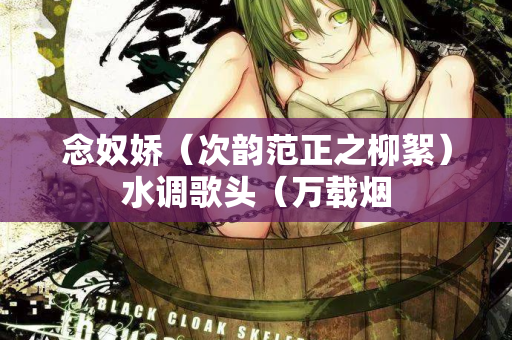 念奴娇（次韵范正之柳絮）水调歌头（万载烟