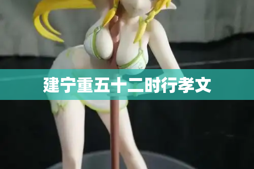 建宁重五十二时行孝文  第2张