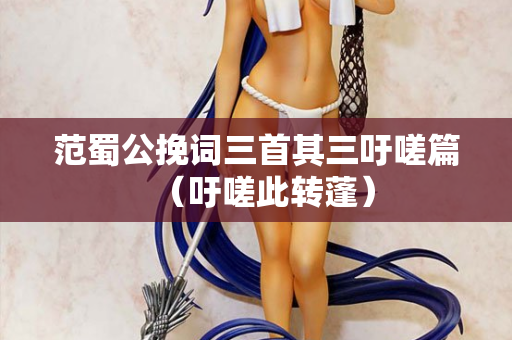 范蜀公挽词三首其三吁嗟篇（吁嗟此转蓬）
