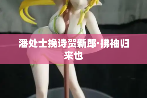 潘处士挽诗贺新郎·拂袖归来也