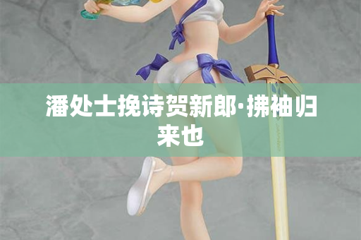 潘处士挽诗贺新郎·拂袖归来也