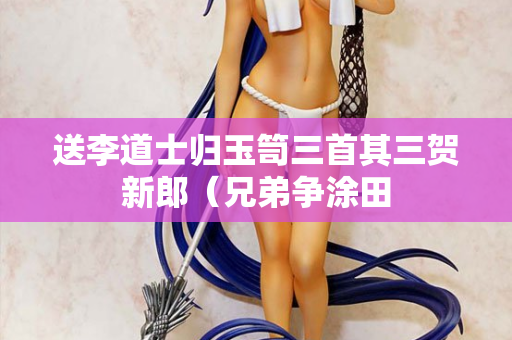 送李道士归玉笥三首其三贺新郎（兄弟争涂田