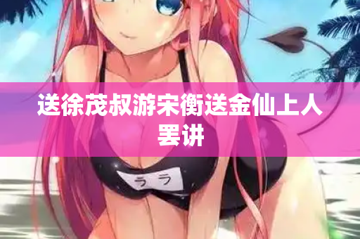 送徐茂叔游宋衡送金仙上人罢讲