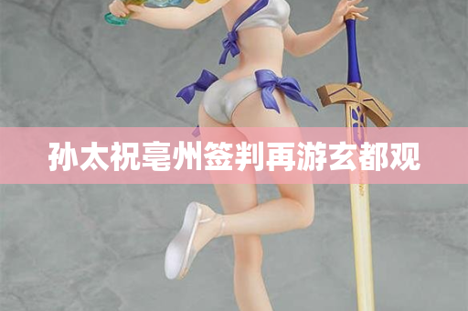 孙太祝亳州签判再游玄都观
