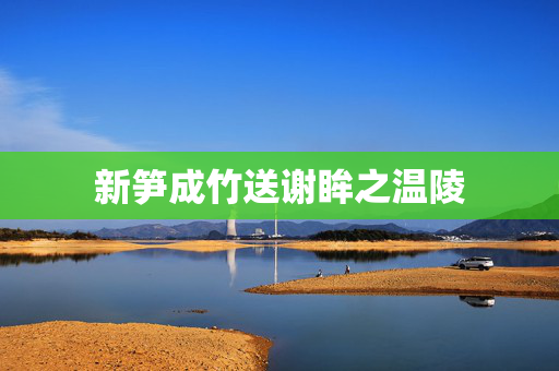 新笋成竹送谢眸之温陵