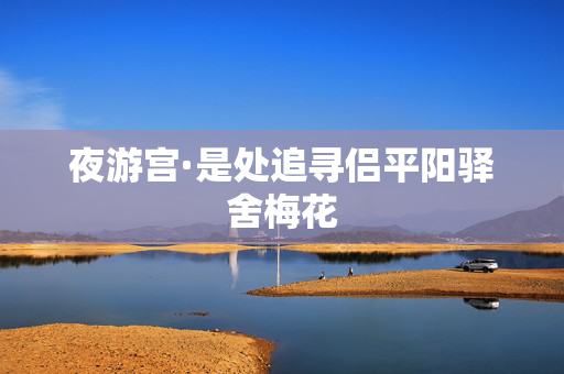 夜游宫·是处追寻侣平阳驿舍梅花