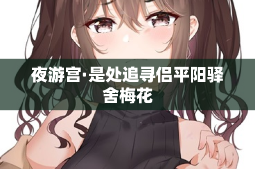 夜游宫·是处追寻侣平阳驿舍梅花  第2张