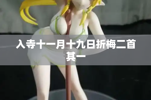 入寺十一月十九日折梅二首其一